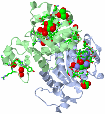 Image Asym./Biol. Unit - sites