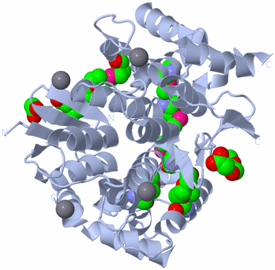 Image Biological Unit 1