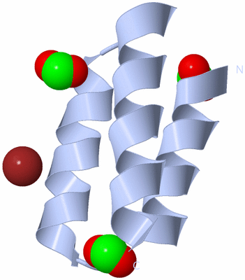 Image Biological Unit 1