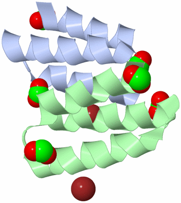 Image Biological Unit 3