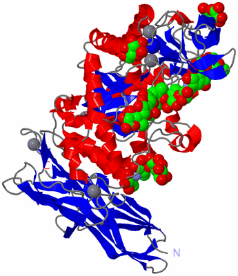 Image Asym./Biol. Unit