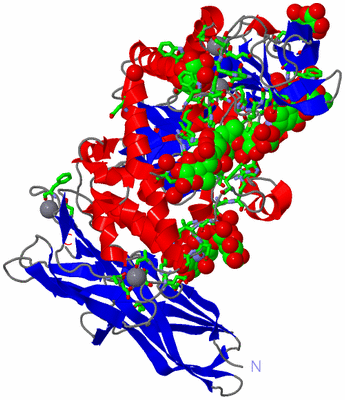 Image Asym./Biol. Unit - sites