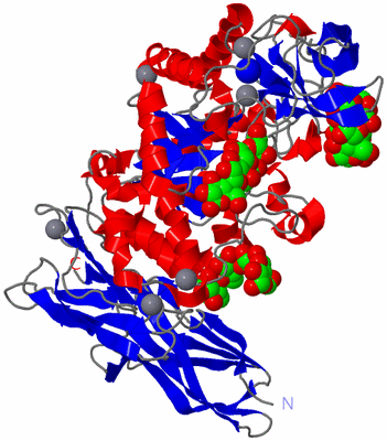 Image Asym./Biol. Unit