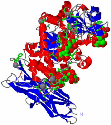 Image Asym./Biol. Unit - sites