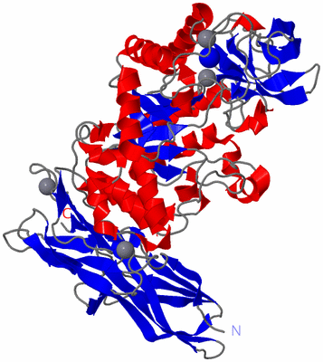 Image Asym./Biol. Unit