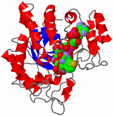 Image Asym./Biol. Unit