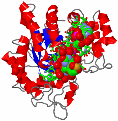 Image Asym./Biol. Unit - sites