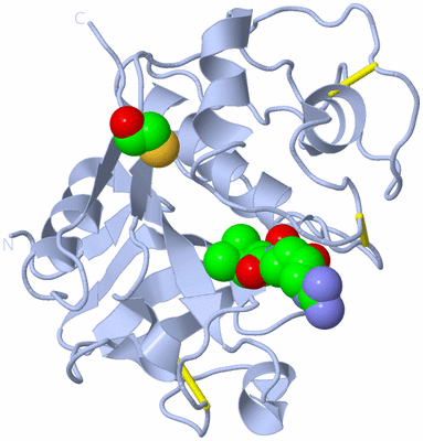 Image Biological Unit 1