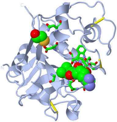 Image Biol. Unit 1 - sites