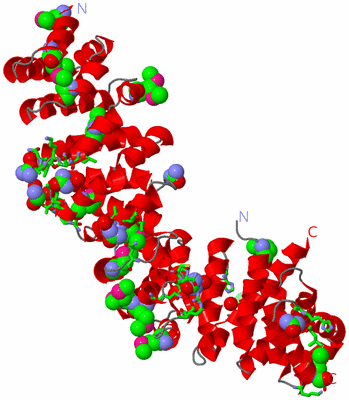 Image Asym. Unit - sites