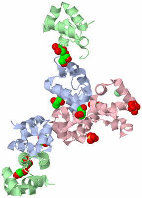 Image Biological Unit 1