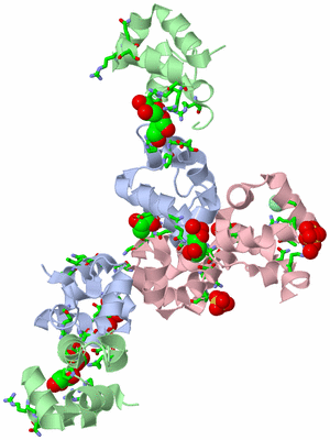 Image Biol. Unit 1 - sites