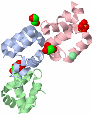 Image Biological Unit 2
