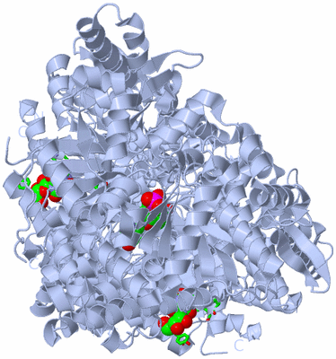 Image Biol. Unit 1 - sites