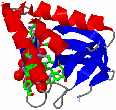 Image Asym./Biol. Unit - sites