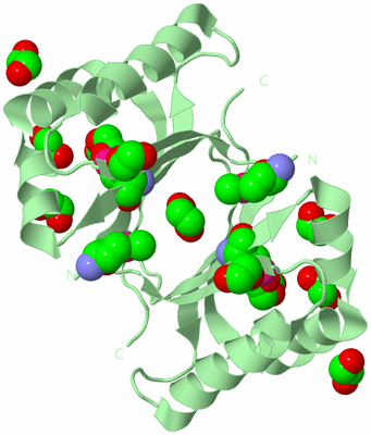 Image Biological Unit 2