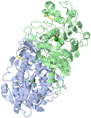 Image Asym./Biol. Unit - sites