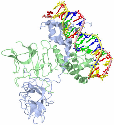 Image Asym./Biol. Unit