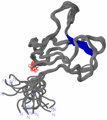 Image NMR Structure - all models