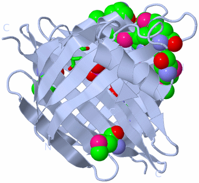 Image Biol. Unit 1 - sites