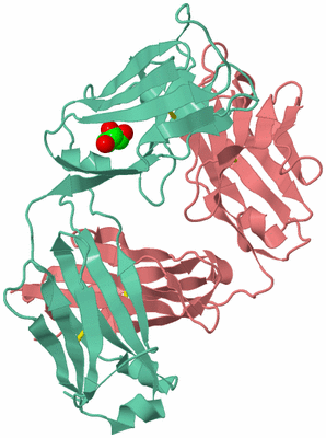 Image Biological Unit 1