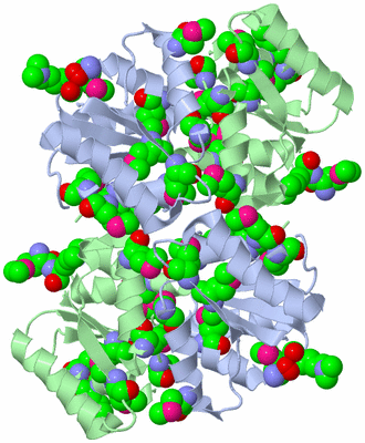 Image Biological Unit 2