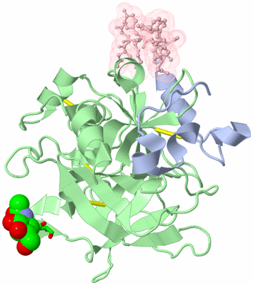 Image Biol. Unit 1 - sites