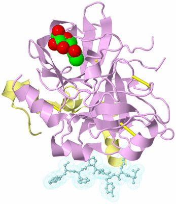 Image Biological Unit 2