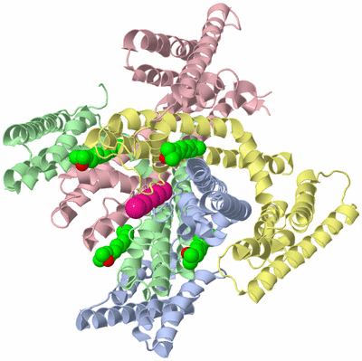 Image Asym./Biol. Unit