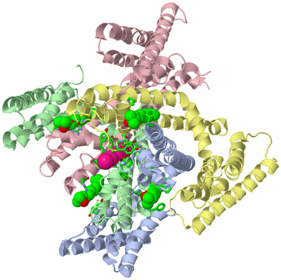 Image Asym./Biol. Unit - sites