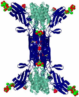 Image Biological Unit 1