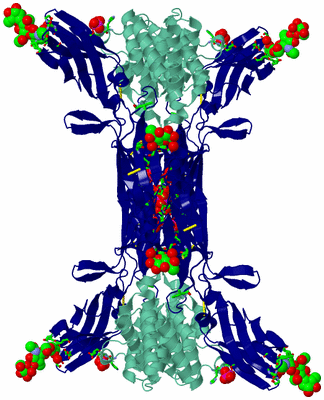 Image Biol. Unit 1 - sites