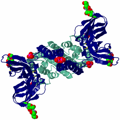 Image Biological Unit 2