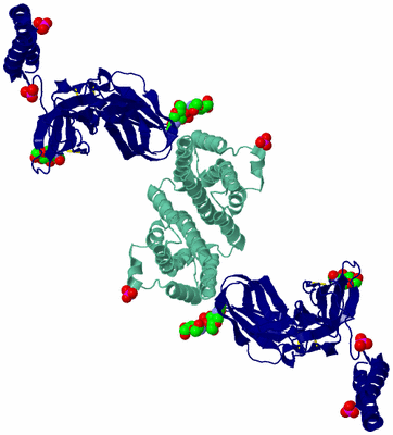 Image Biological Unit 3