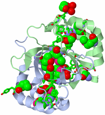 Image Asym./Biol. Unit - sites