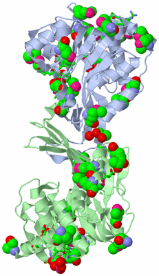 Image Asym./Biol. Unit - sites