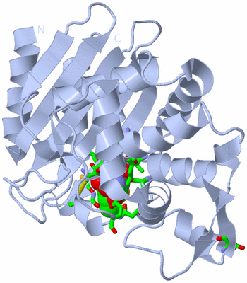 Image Biol. Unit 1 - sites