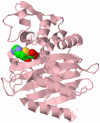 Image Biological Unit 3