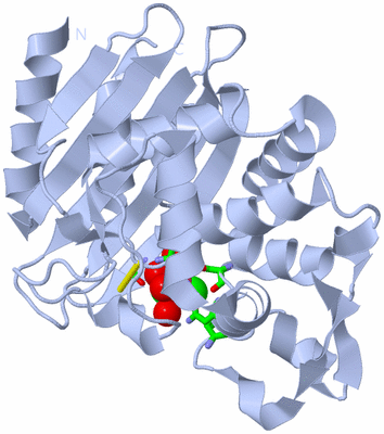 Image Biol. Unit 1 - sites