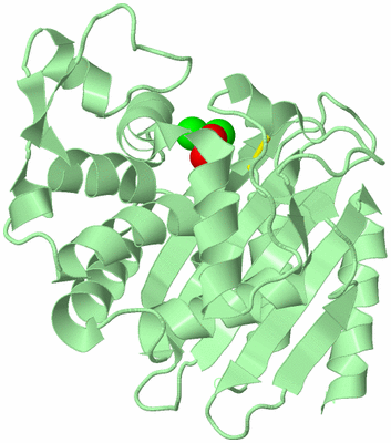 Image Biological Unit 2