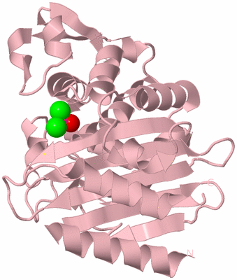 Image Biological Unit 3