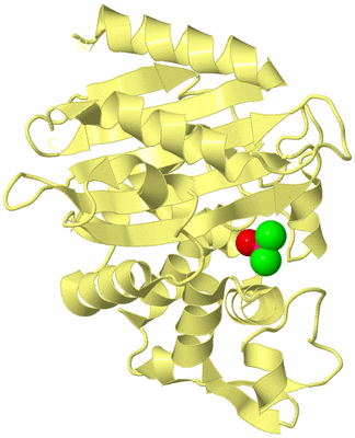 Image Biological Unit 4