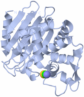 Image Biological Unit 1