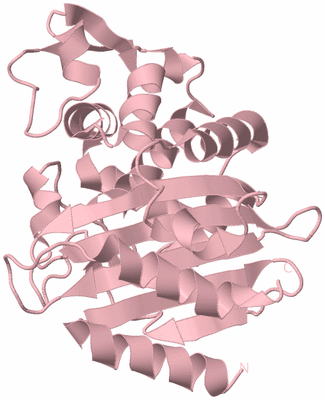 Image Biological Unit 3