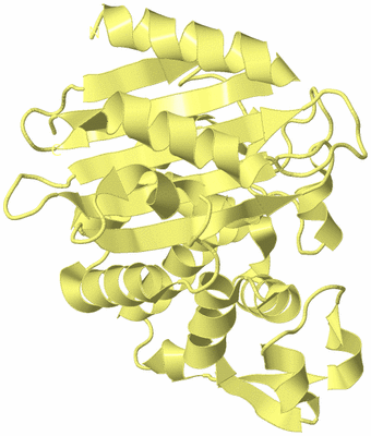 Image Biological Unit 4