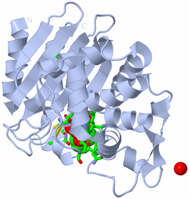 Image Biol. Unit 1 - sites