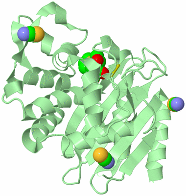 Image Biological Unit 2