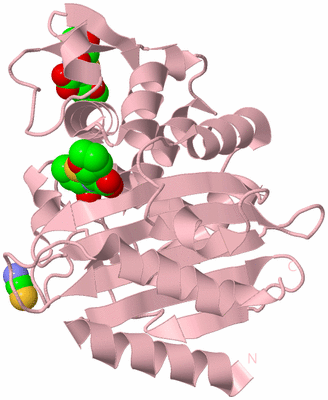 Image Biological Unit 3