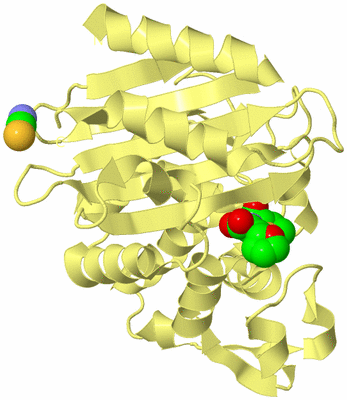 Image Biological Unit 4