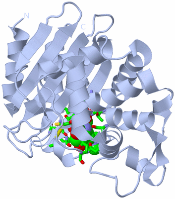 Image Biol. Unit 1 - sites